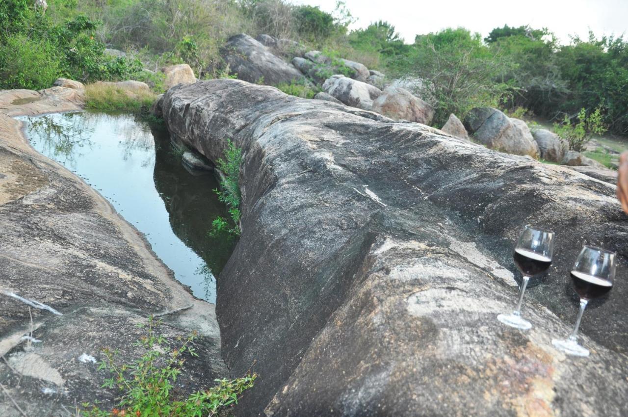 Hotel Wild Trails Yala By Suri Extérieur photo