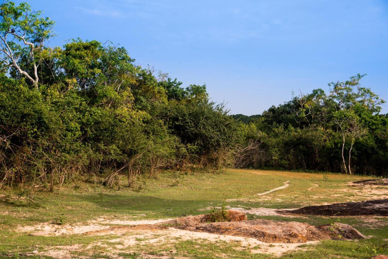 Hotel Wild Trails Yala By Suri Extérieur photo